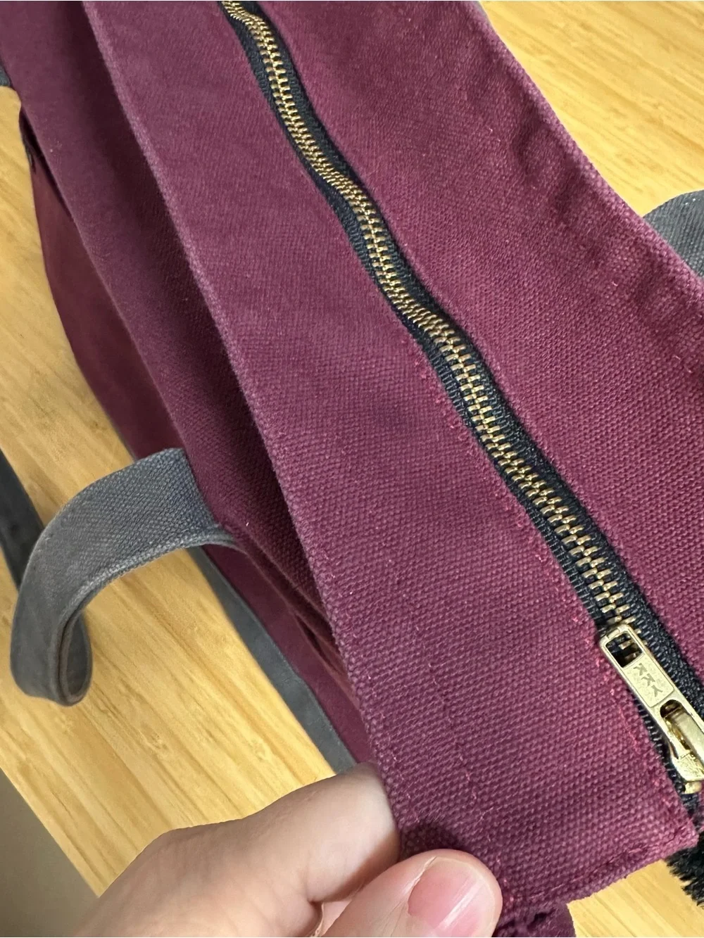 Love Thy Beast Canvas Dog Tote- Medium dog (15lbs)